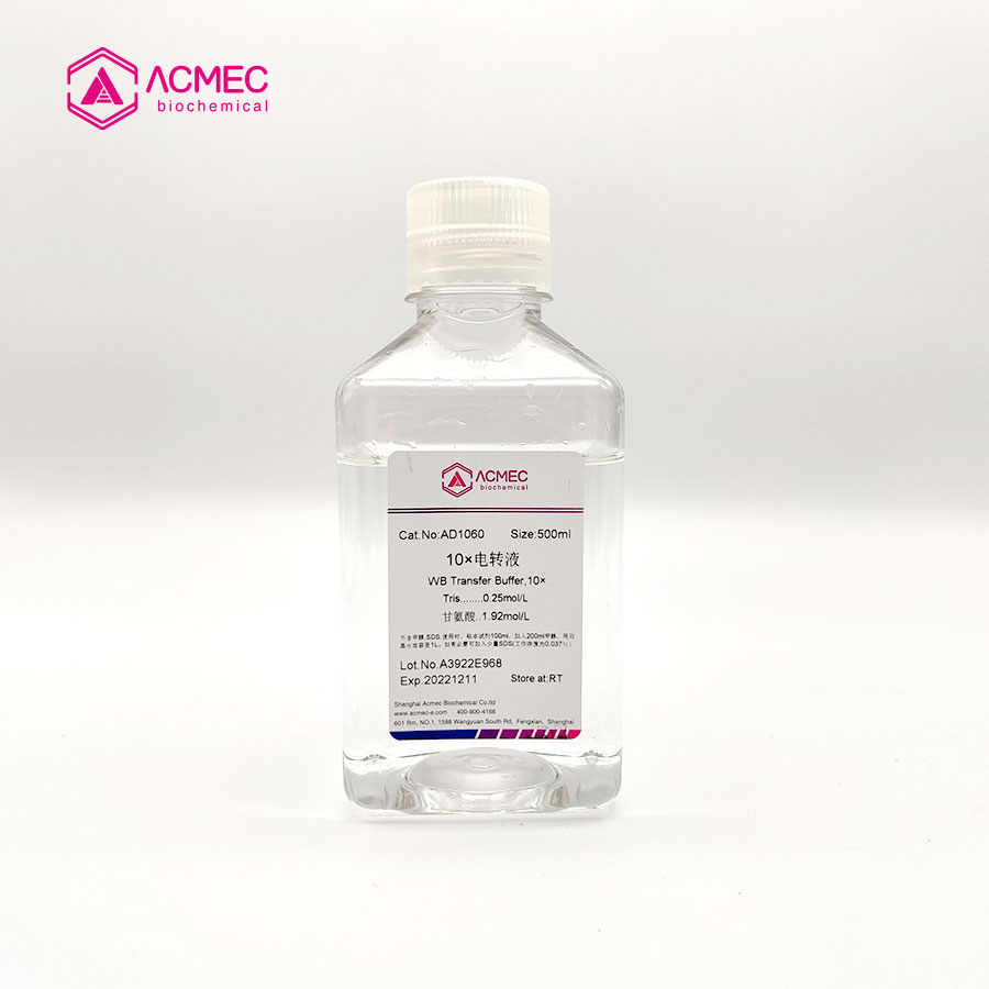 10×电泳转移缓冲液（转膜液）